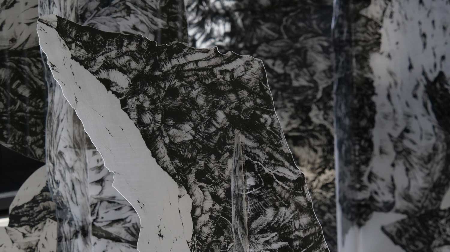 l'invariance du rugueux