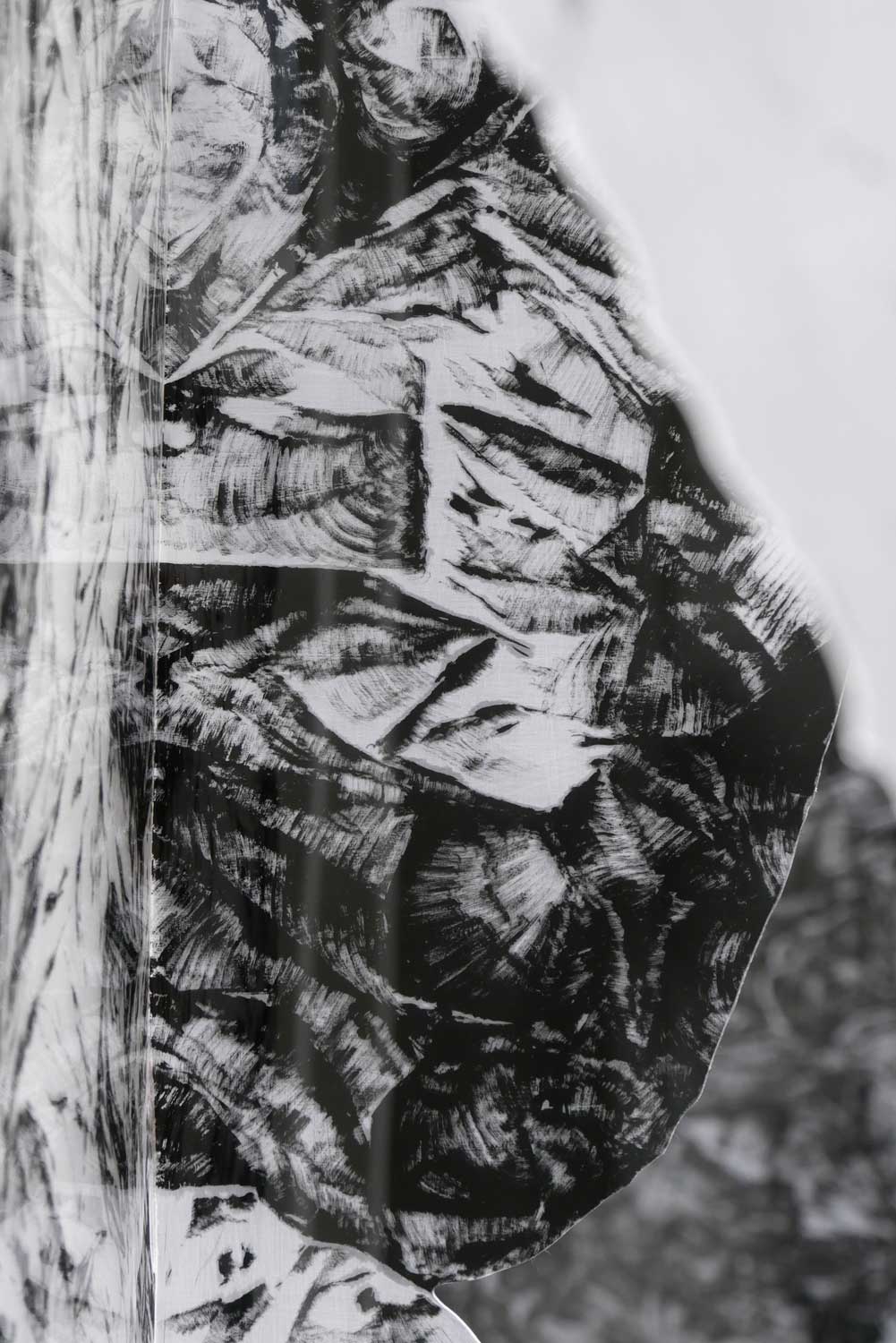 l'invariance du rugueux