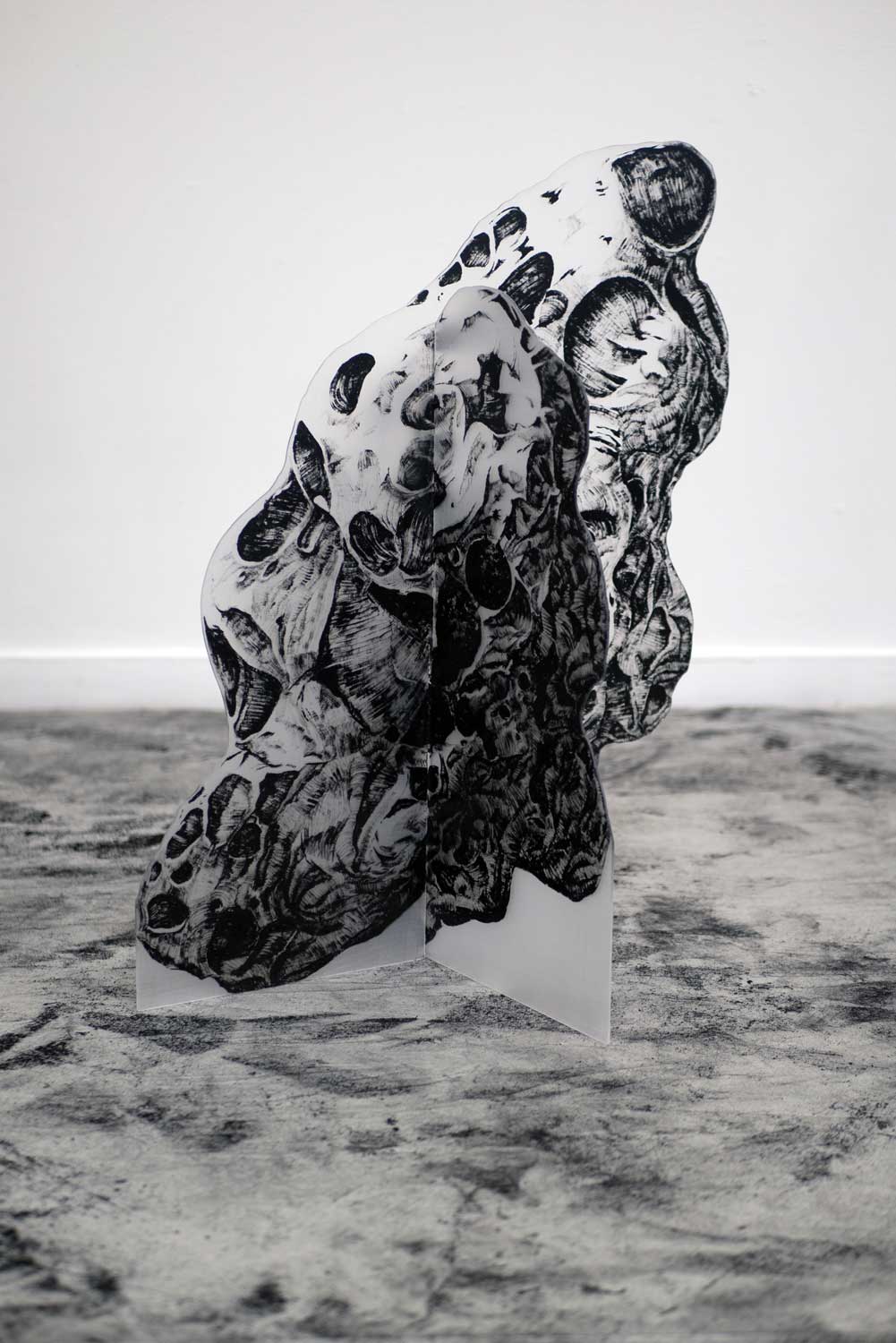 l'invariance du rugueux